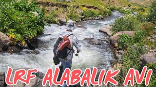 LRF İLE KIRMIZI BENEKLİ ALABALIK AVI alabalıkavı troutfishing trout balık fishing lrf atçek [upl. by Naenej]