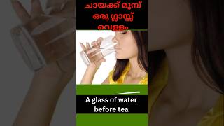 ചായക്ക് മുമ്പ് വെള്ളം  water before tea benefits malayalam [upl. by Odraode966]