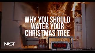 Christmas Tree Fire Watered Tree vs Dry Tree [upl. by Nasus791]