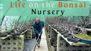 Life on the Herons Bonsai Nursery [upl. by Azpurua]