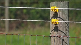 Building a quick Shortwave Antenna using Electrical Fencing parts [upl. by Aralk]