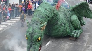 Karneval Cerknica 2014 [upl. by Erdeid]