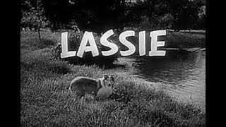 Lassie  1st IntroampOutro 1954 [upl. by Moyra]