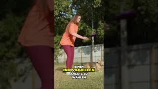 Positive Verstärkung im Hundetraining [upl. by Fellows342]