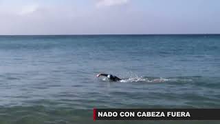 Ejercicios técnicos de natación en aguas abiertas Orientación [upl. by Heyman187]