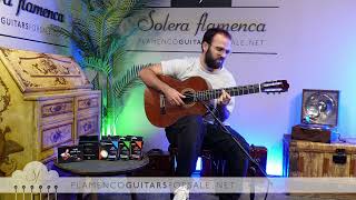 Mayoral 1980 flamenco guitar for sale played by Toni Abellán [upl. by Aral]