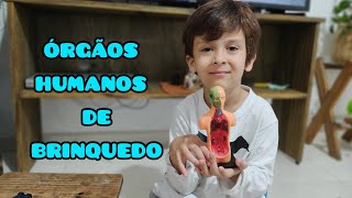 APRENDENDO ANATOMIA  Brinquedos Educativos [upl. by Erdnassac]