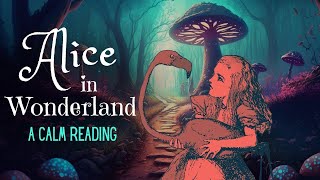 Reading of Alice in Wonderland  full audiobook  Story Reading for Sleep  Relaxing Reading [upl. by Dickinson]