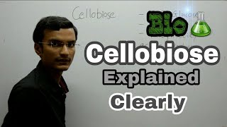 Cellobiose Disaccharide  Biochemistry lecture [upl. by Nortyad]