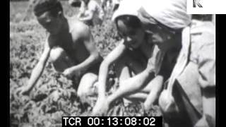 1930s Soviet Union USSR Children Work on Farm [upl. by Etty]