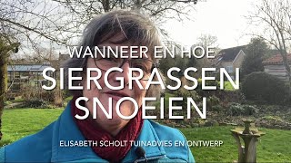 Wanneer en hoe SIERGRASSEN snoeien [upl. by Bobbette]