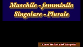 Maschile  Femminile e Singolare  Plurale lesson 29 [upl. by Ednihek]