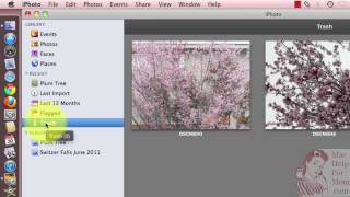 How to empty the iPhoto Trash [upl. by Kopaz]