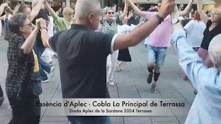 Essència dAplec  Cobla La Principal de Terrassa [upl. by Teodorico843]