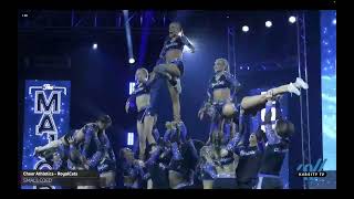 Cheer Athletics Royalcats  Majors [upl. by Joliet]