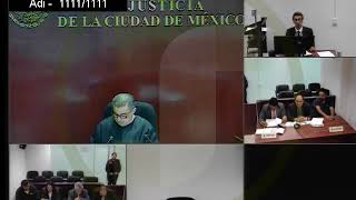 AUDIENCIA DE JUICIO MATERIA PENAL [upl. by Yaakov]