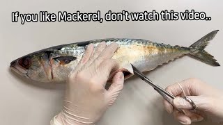 Shocking Parasites Discovered During Mackerel Dissection [upl. by Maura]