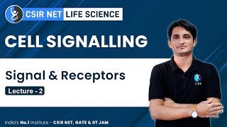 Types of Cell Signalling Paracrine amp Endocrine Signalling  Signalling Molecule amp Receptors [upl. by Minoru]