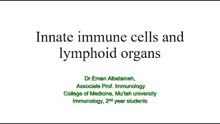 Immunology  Innate cells and lymphoid organs [upl. by Airdnalahs]