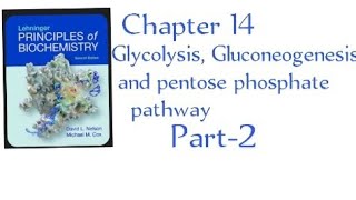 Glycolysis Gluconeogenesis and pentose phosphate pathway Chapter 14  part2 in Urdu [upl. by Malissa]