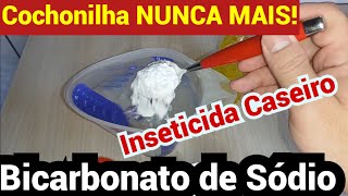 INSETICIDA CASEIRO com BICARBONATO DE SÓDIO  Receita MAIS BARATA DE INSETICICA CASEIRO [upl. by Navad]