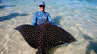 Food Chain Fishing Challenge 2  Tiny Crabs to Giant Eagle Ray [upl. by Christmann]