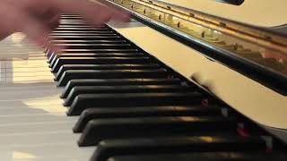 Home Flashmob  Beethoven Piano Sonata op26 1st mvt Variation 2 [upl. by Justina]