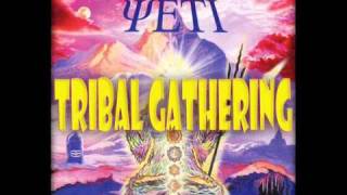 Mystery Of The Yeti  Tribal Gathering [upl. by Yanahs]