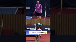 卓球 стони тенис စားပွဲတင်တင်းနစ် stolný tenis bordtennis stolní tenis настольны тэніс [upl. by Clo190]