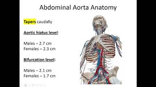 Screening for Abdominal Aortic Aneurysm AAA with POCUS [upl. by Cassiani]