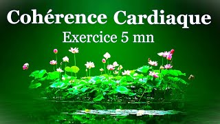 cohérence cardiaque exercice 5 mn [upl. by Akkahs]