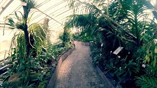 Botanischer Garten 🇩🇪 [upl. by Frederica206]