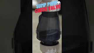 Here is what a sump pump should sound like [upl. by Adall716]