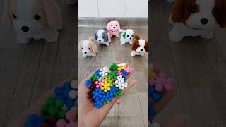 Dog 🐕🐶🐕 Satisfying Reverse video ASMR soud 🌈😍funnyvideo satisfyingreverse [upl. by Ottillia454]