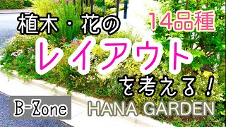 ガーデニング 常緑多年草と落葉樹と宿根草のレイアウト｜Bゾーン植え替え ｜ローダンセマム チェリーセージ プリペット シモツケ他 [upl. by Yrtua31]