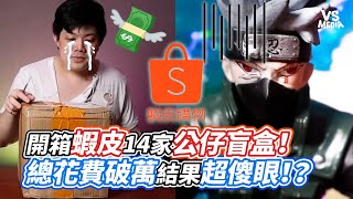 開箱蝦皮14家公仔盲盒！總花費破萬結果超傻眼！？｜VS MEDIAｘbingdonglangJD [upl. by Barcus139]