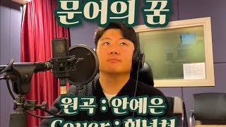 안예은  문어의 꿈Cover [upl. by Itsirk556]