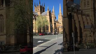 ST MARYS CATHEDRAL on College st Sydney Australia3 [upl. by Lebbie505]