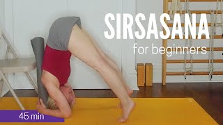 Sirsasana for Beginners  How To Headstand in Iyengar Yoga  45 min [upl. by Enirroc]