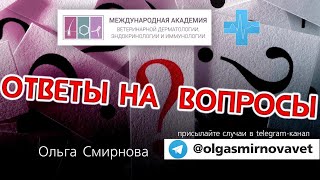 Ответы на вопросы Выпуск от 17092024 [upl. by Orodisi]