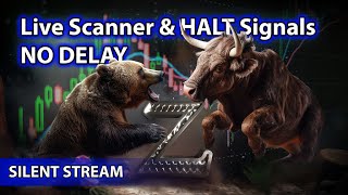 ​🌟Live Scanner Stock Market scanner  Ze Silent Stream voice only 12282023 [upl. by Teillo]