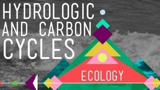 The Hydrologic and Carbon Cycles Always Recycle  Crash Course Ecology 8 [upl. by Filmer]