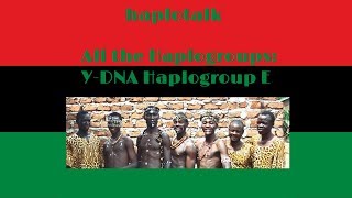 All the Haplogroups Y DNA Haplogroup E E0019 [upl. by Eleets]