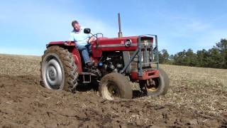 Massey Ferguson 165 ploughing [upl. by Aeneg643]