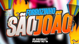 FORROZINHO 2024AQUECIMENTO DE SÃO JOÃO 2024 saojoao festajunina quadrilhajunina [upl. by Teilo]