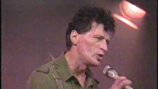 Herman Brood amp His Wild Romance  Sleepin bird [upl. by Luap]