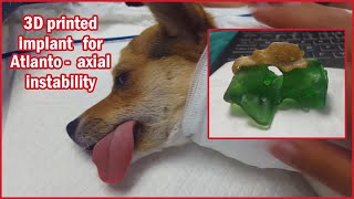 Atlantoaxial instability 3D personalized implant for a dog [upl. by Cortney]