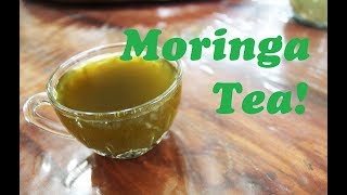 Moringa Tea Recipe  Healthy and Easy To Make [upl. by Kelsey]