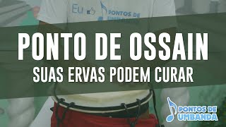 Ponto de Ossain  Suas ervas podem curar [upl. by Lleznol]