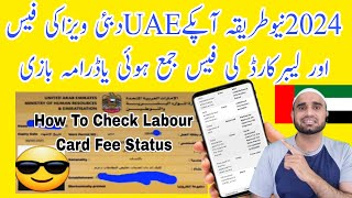 How to check uae dubai visa and labour card fees status  Dubai Visa fees status is paid or nothing [upl. by Atirak]